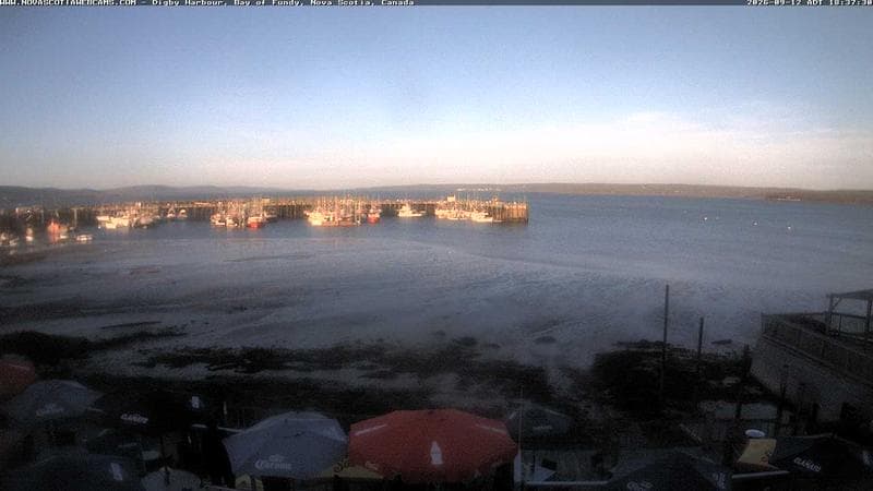 Digby Harbour