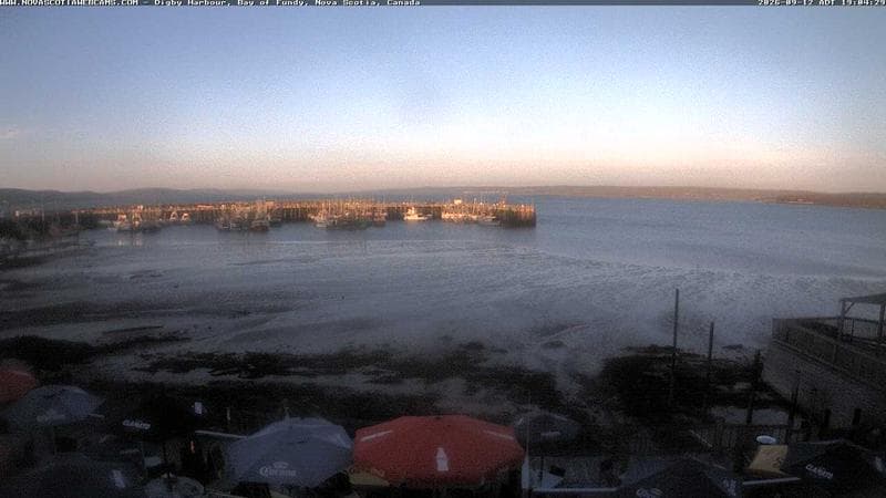 Digby Harbour