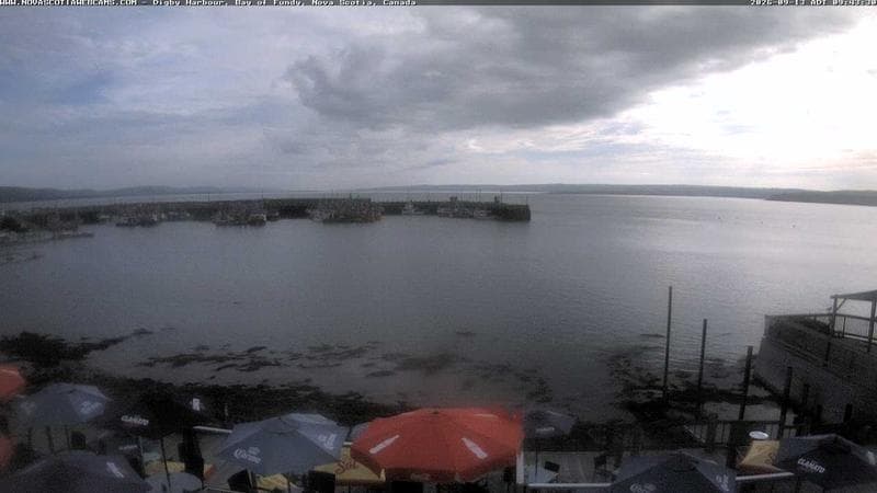 Digby Harbour