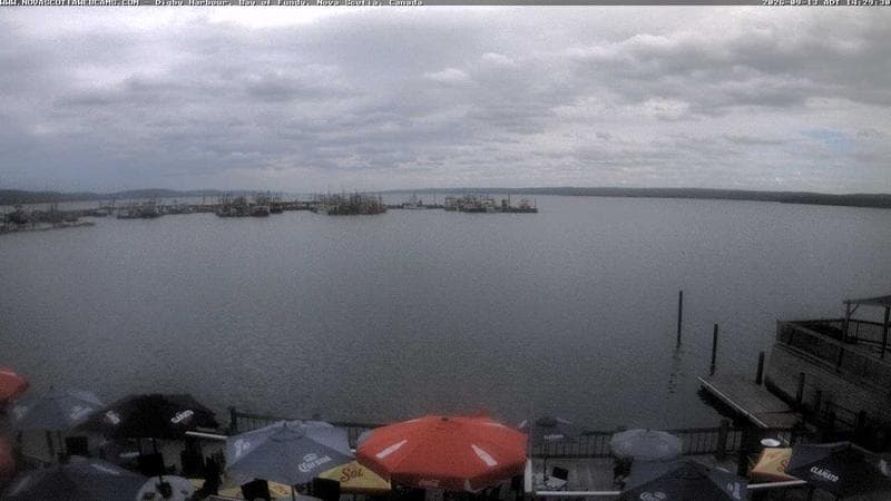 Digby Harbour