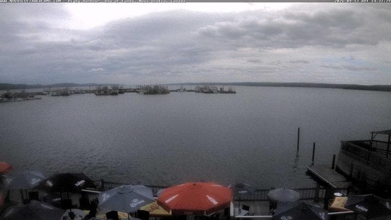 Digby Harbour