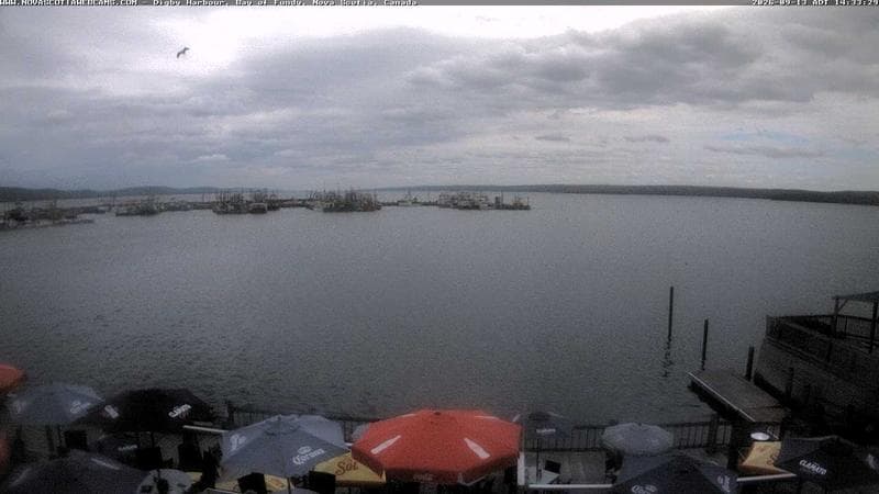 Digby Harbour