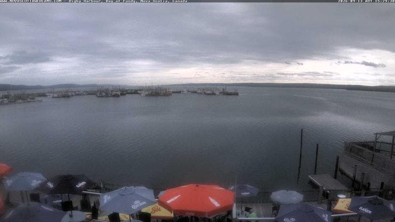 Digby Harbour
