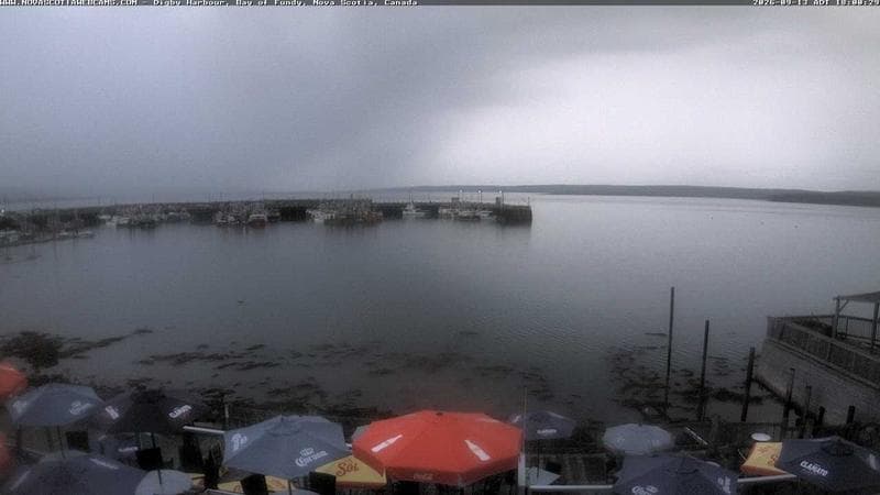Digby Harbour