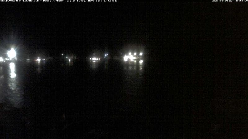 Digby Harbour