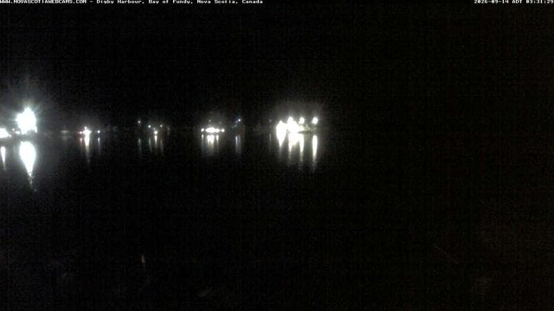 Digby Harbour