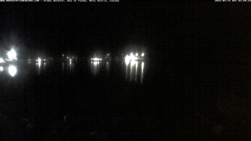 Digby Harbour