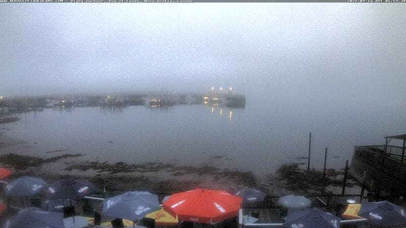 Digby Harbour