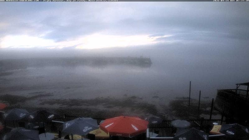 Digby Harbour