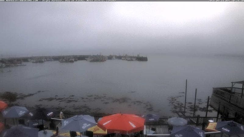 Digby Harbour