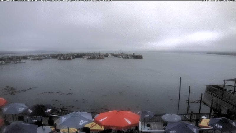 Digby Harbour