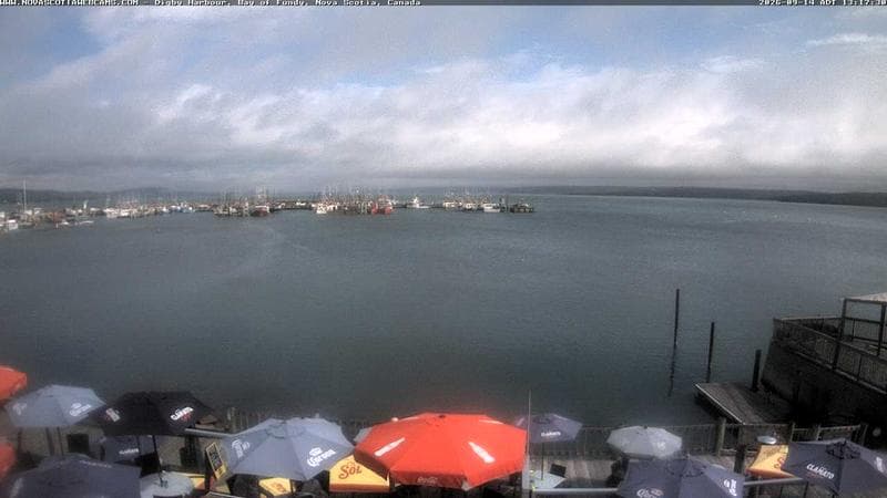 Digby Harbour