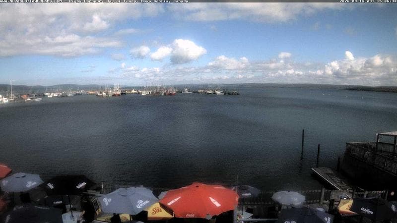 Digby Harbour