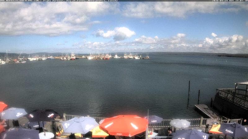 Digby Harbour