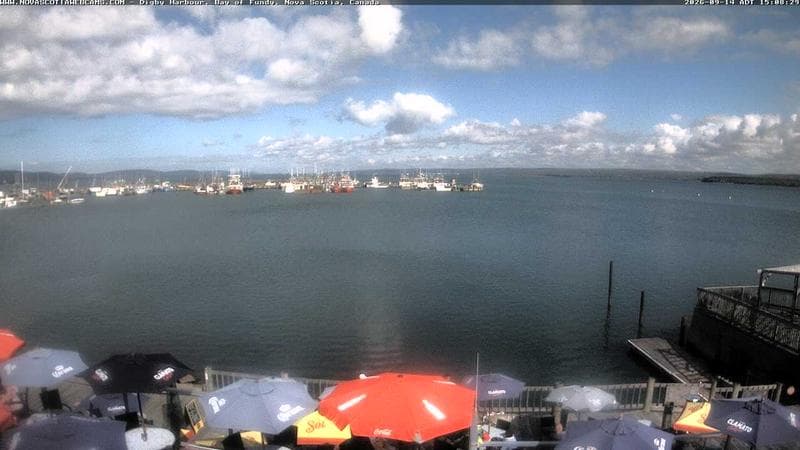 Digby Harbour