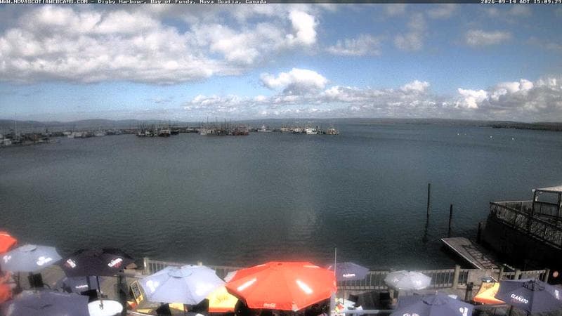 Digby Harbour