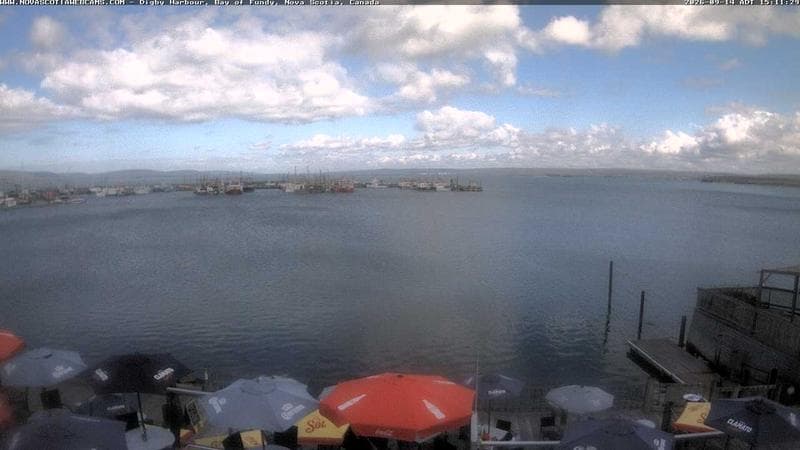 Digby Harbour