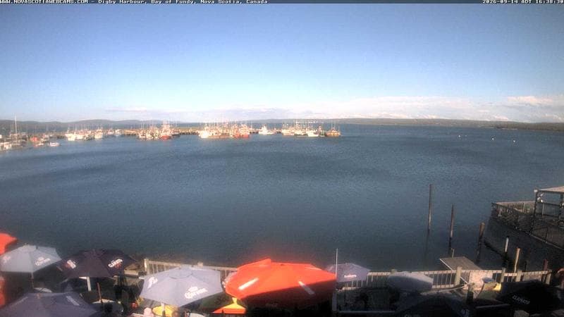 Digby Harbour