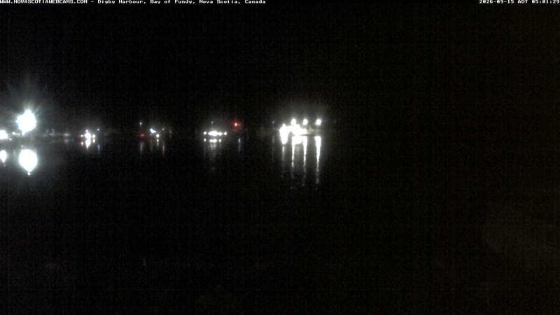 Digby Harbour