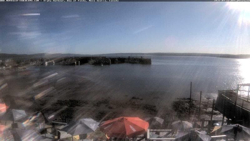 Digby Harbour