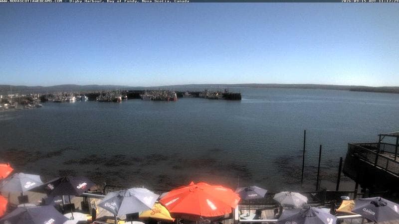 Digby Harbour