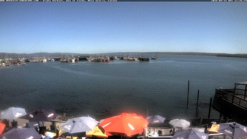 Digby Harbour