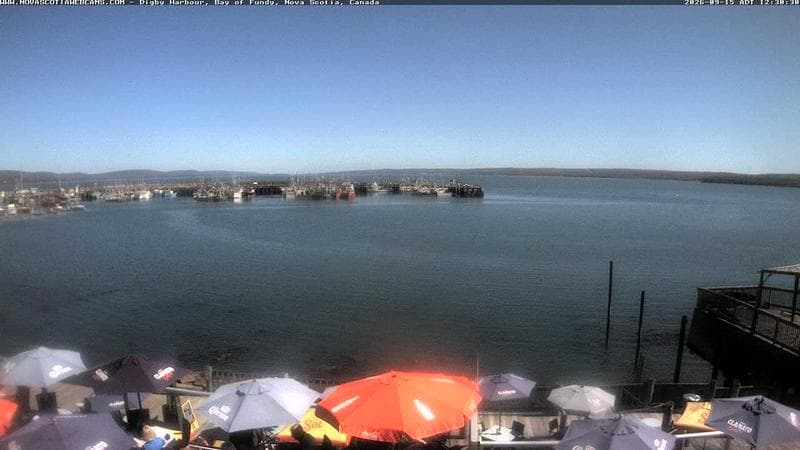 Digby Harbour