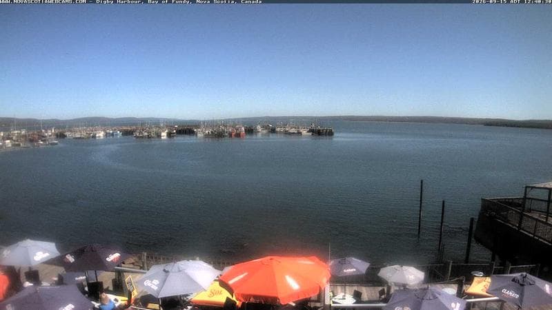 Digby Harbour