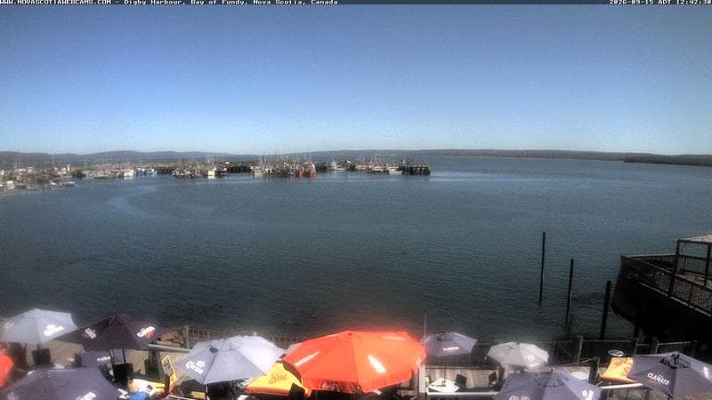 Digby Harbour