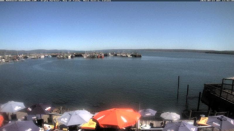 Digby Harbour