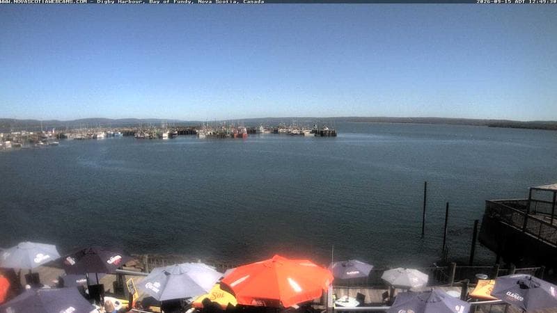 Digby Harbour