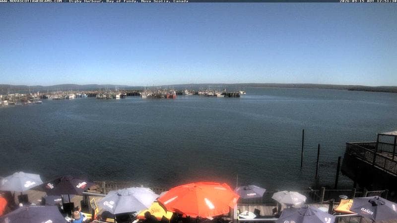 Digby Harbour