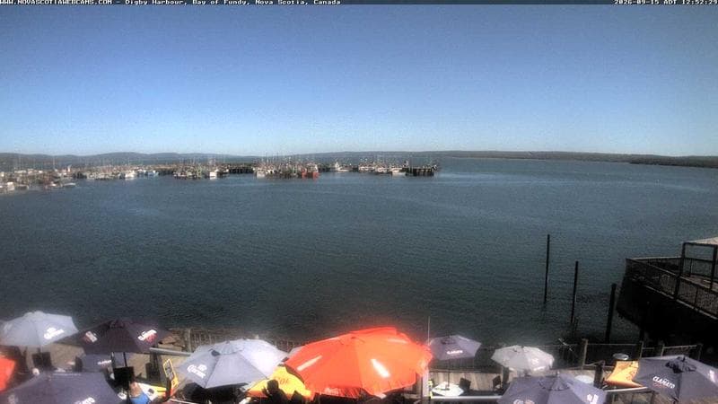 Digby Harbour
