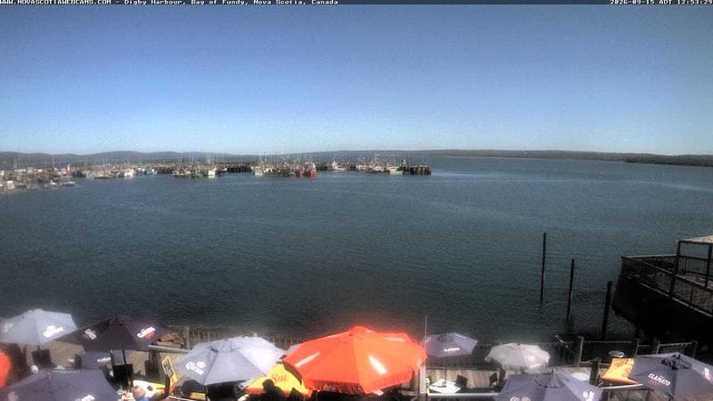 Digby Harbour