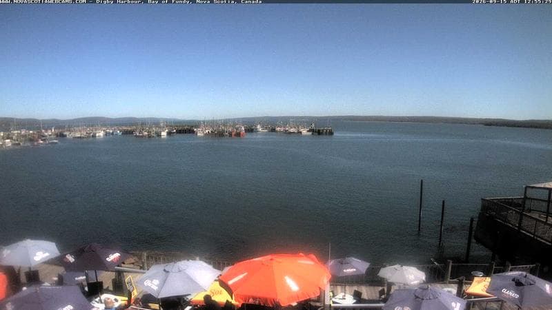 Digby Harbour