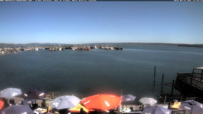 Digby Harbour
