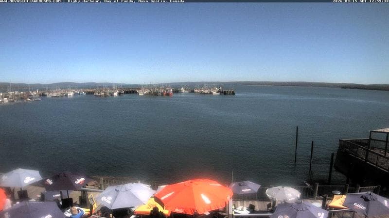 Digby Harbour