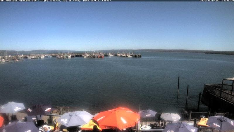 Digby Harbour