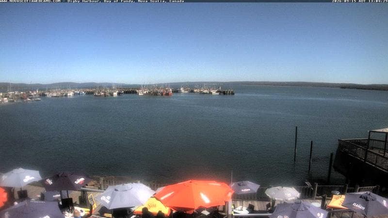 Digby Harbour