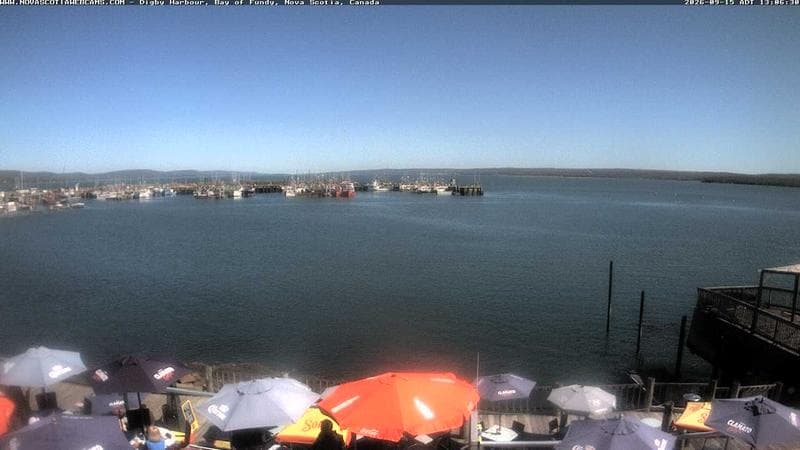 Digby Harbour