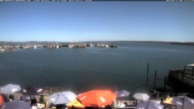 Digby Harbour
