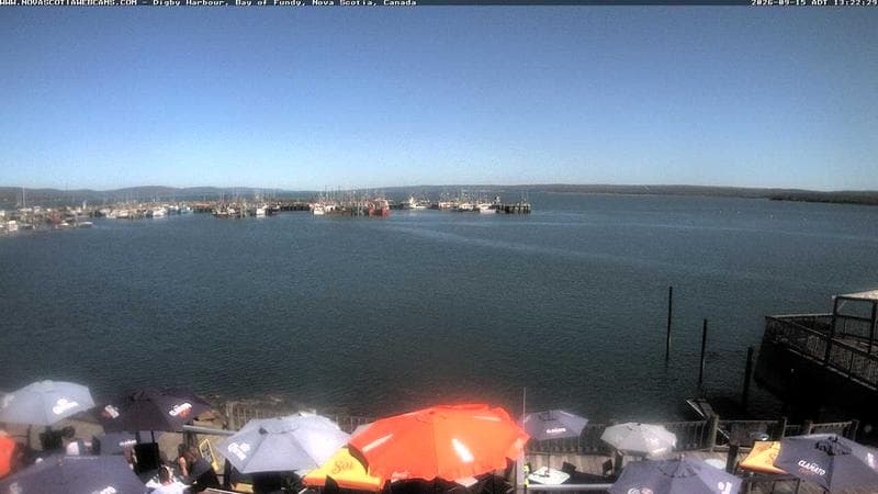 Digby Harbour