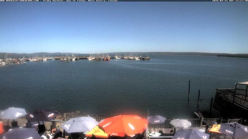 Digby Harbour