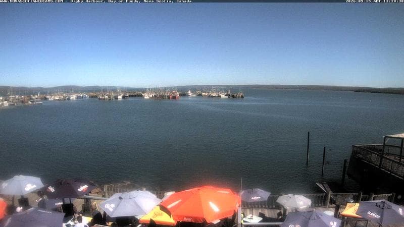 Digby Harbour