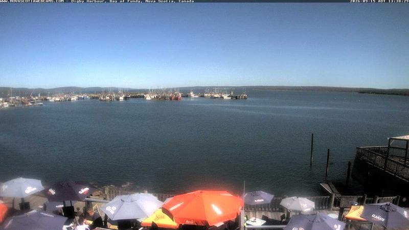 Digby Harbour