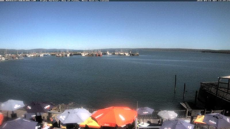 Digby Harbour