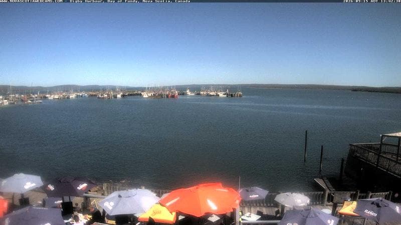 Digby Harbour