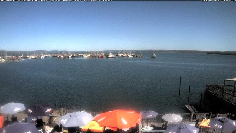 Digby Harbour