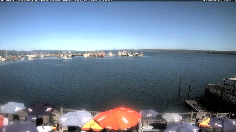 Digby Harbour