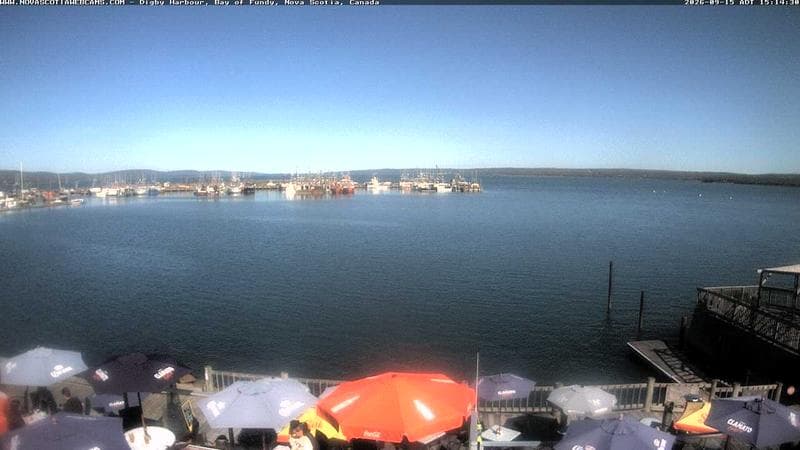 Digby Harbour